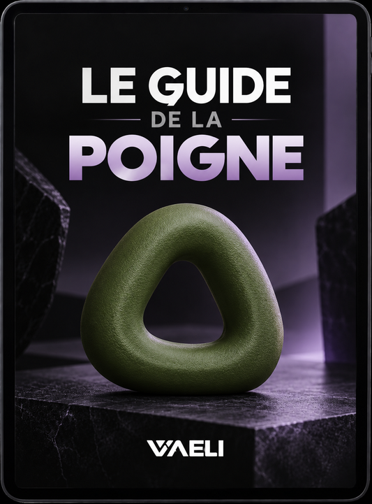 Couverture de l'ebook Le Guide de la Poigne par Vaeli, offert avec Mains de Daron™