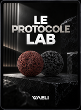 Le Protocole Lave
